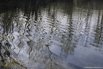 L1000963.jpg