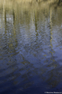 L1000964.jpg